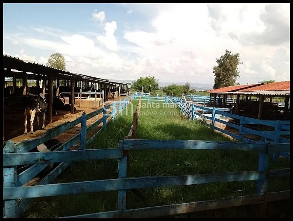 Fazenda, 44 hectares - Foto 10