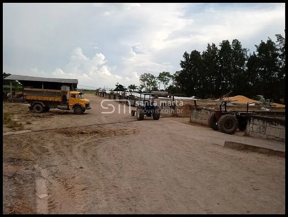 Fazenda, 44 hectares - Foto 14
