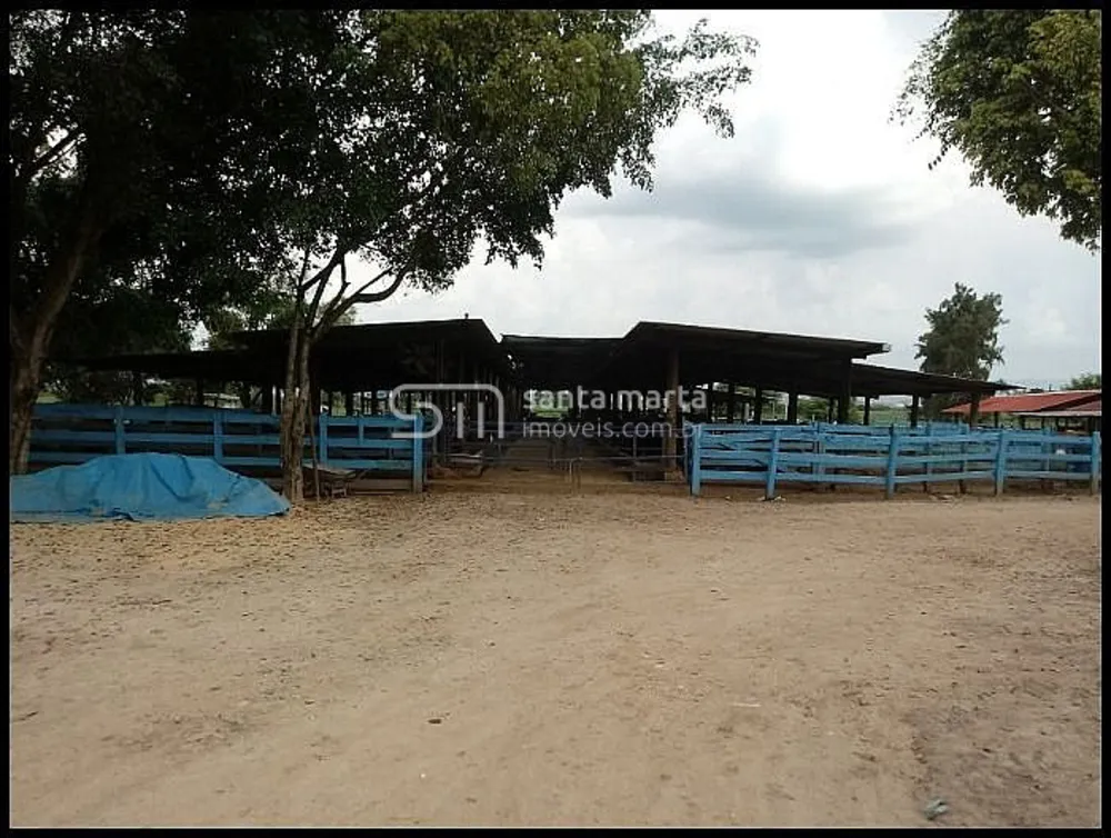Fazenda, 44 hectares - Foto 11