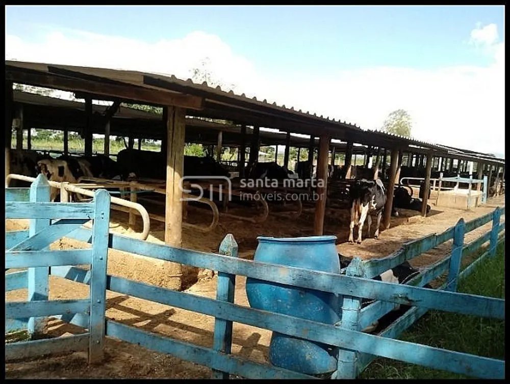 Fazenda, 44 hectares - Foto 9