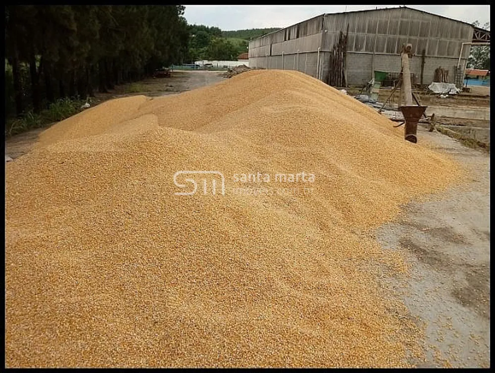 Fazenda, 44 hectares - Foto 15