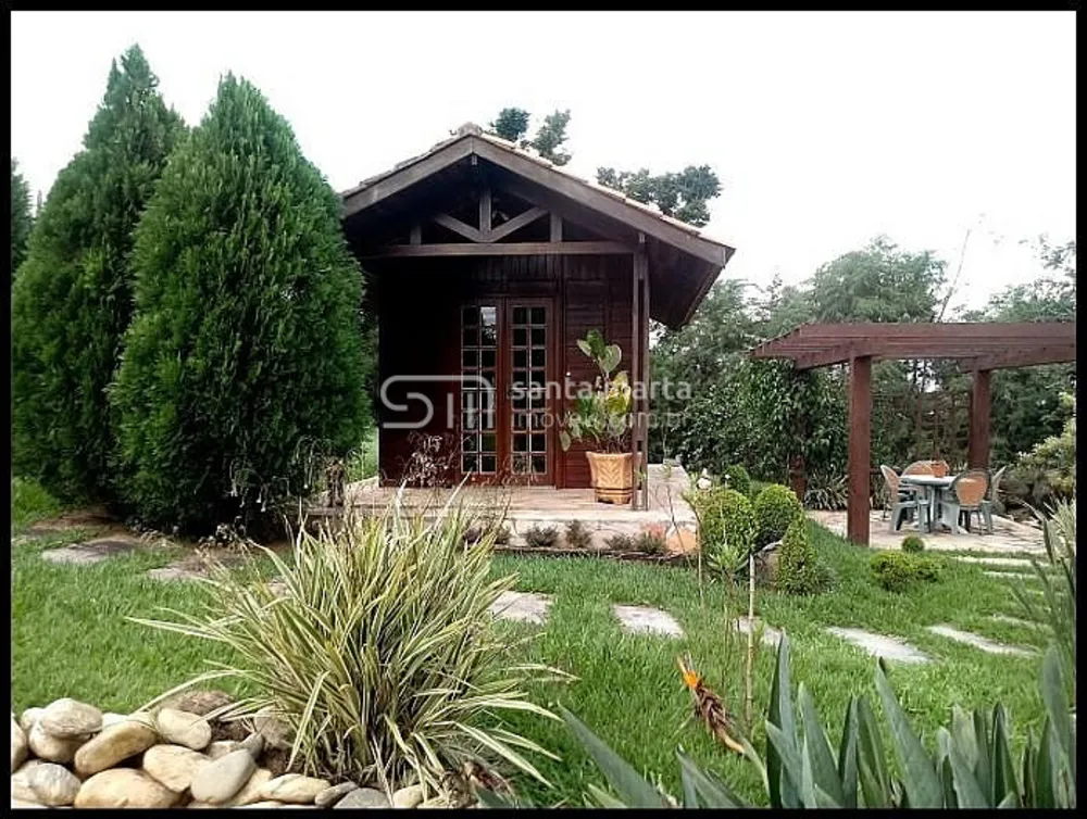 Fazenda, 44 hectares - Foto 7