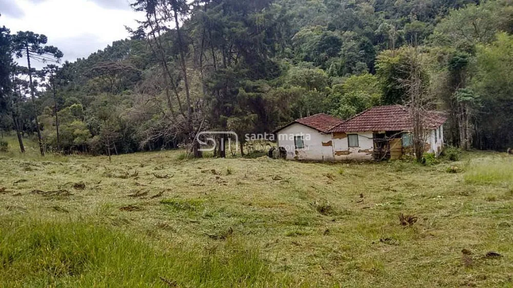 Sítio, 8 hectares - Foto 3