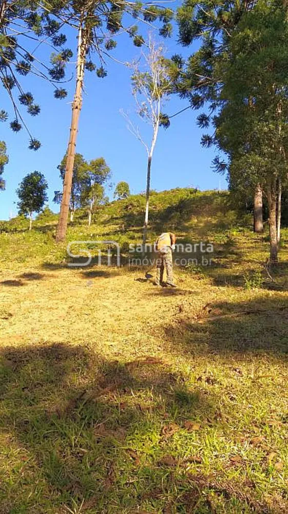 Sítio, 8 hectares - Foto 3
