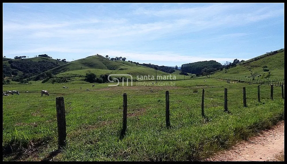 Fazenda, 254 hectares - Foto 3