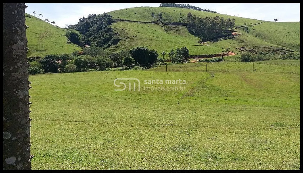 Fazenda, 254 hectares - Foto 4