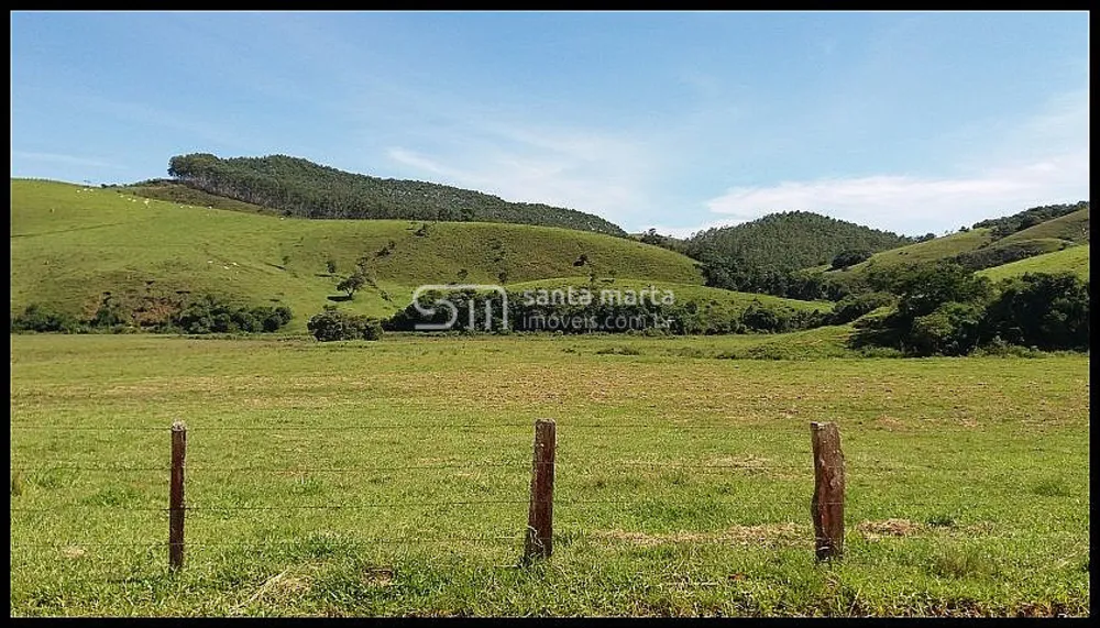 Fazenda, 254 hectares - Foto 4