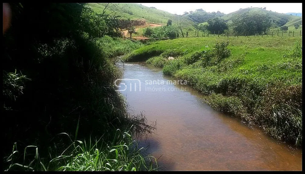 Fazenda, 254 hectares - Foto 8