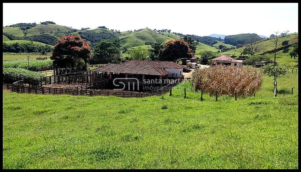 Fazenda, 254 hectares - Foto 6