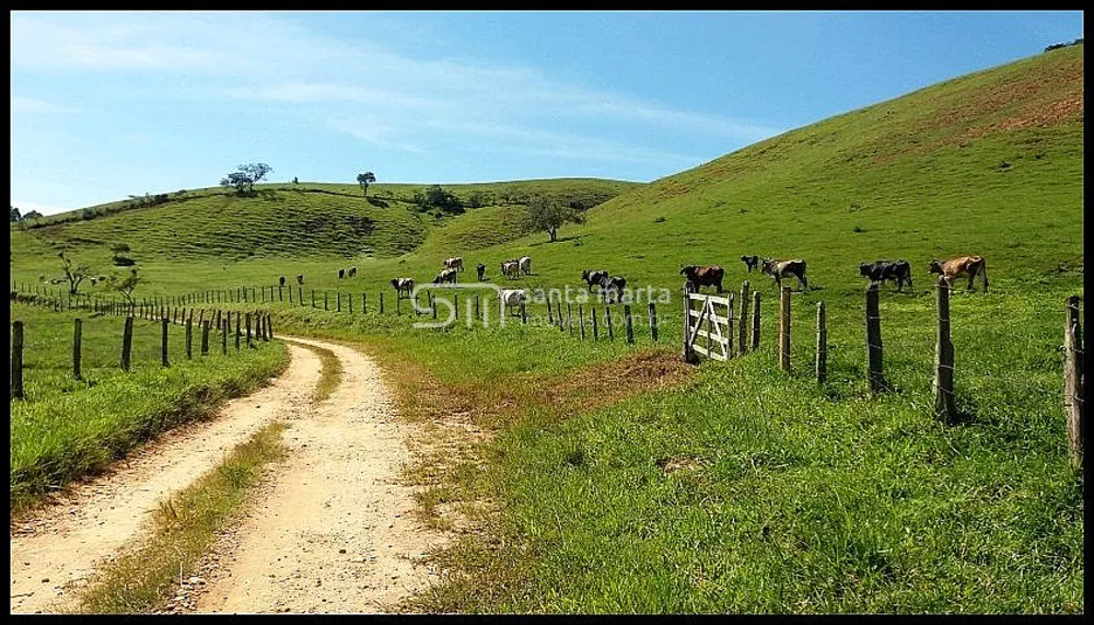 Fazenda, 254 hectares - Foto 11