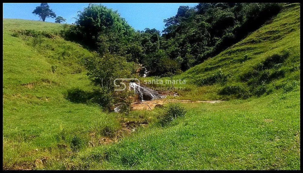 Fazenda, 254 hectares - Foto 10