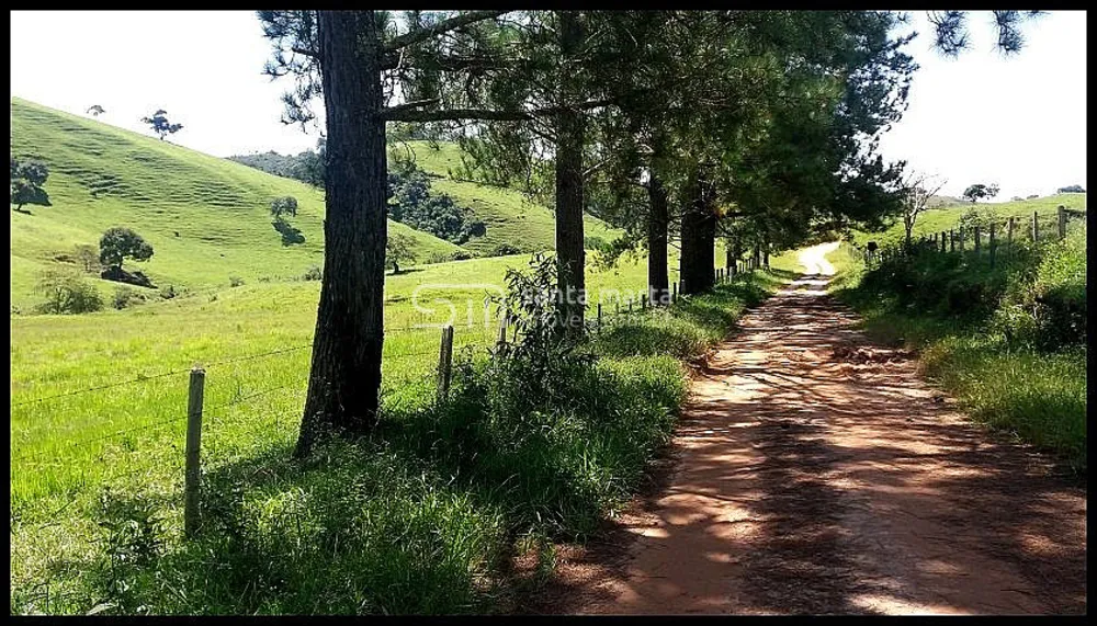 Fazenda, 254 hectares - Foto 9