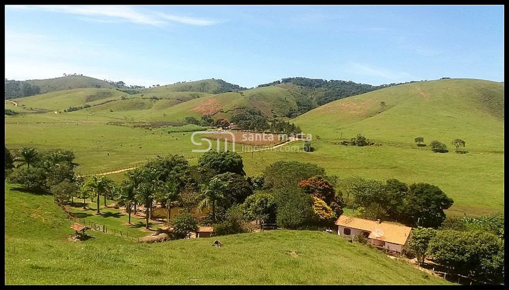 Fazenda, 254 hectares - Foto 1