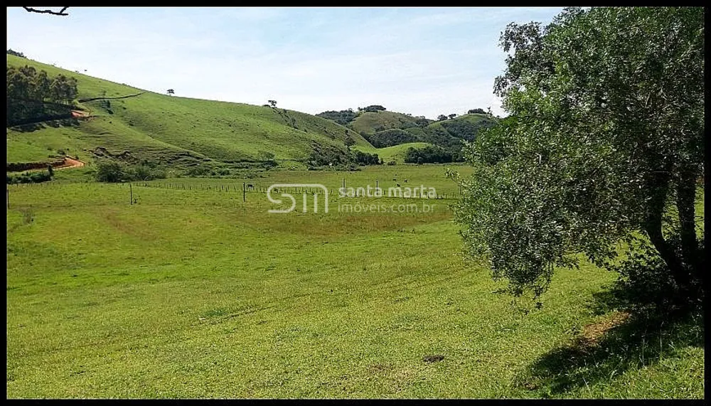 Fazenda, 254 hectares - Foto 2