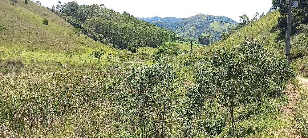 Sítio, 2 quartos, 15 hectares - Foto 3