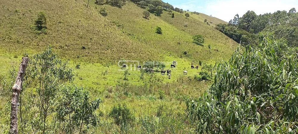 Sítio, 2 quartos, 15 hectares - Foto 1