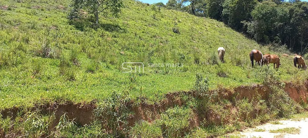 Sítio, 2 quartos, 15 hectares - Foto 4