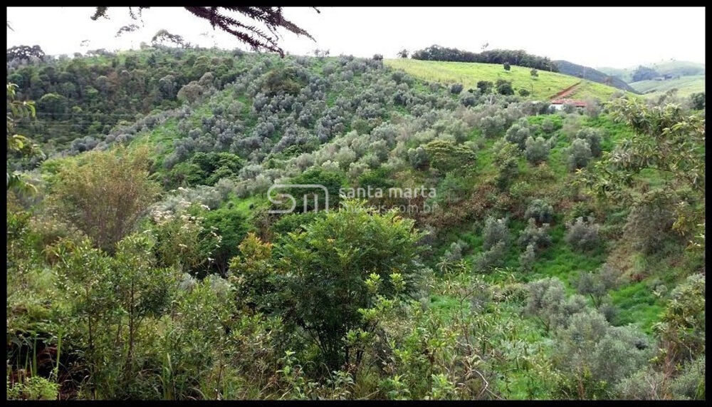Fazenda à venda, 300m² - Foto 2
