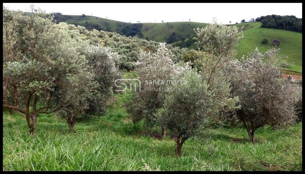 Fazenda à venda, 300m² - Foto 1