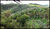 Fazenda-Sítio-Chácara, 19 hectares - Foto 2
