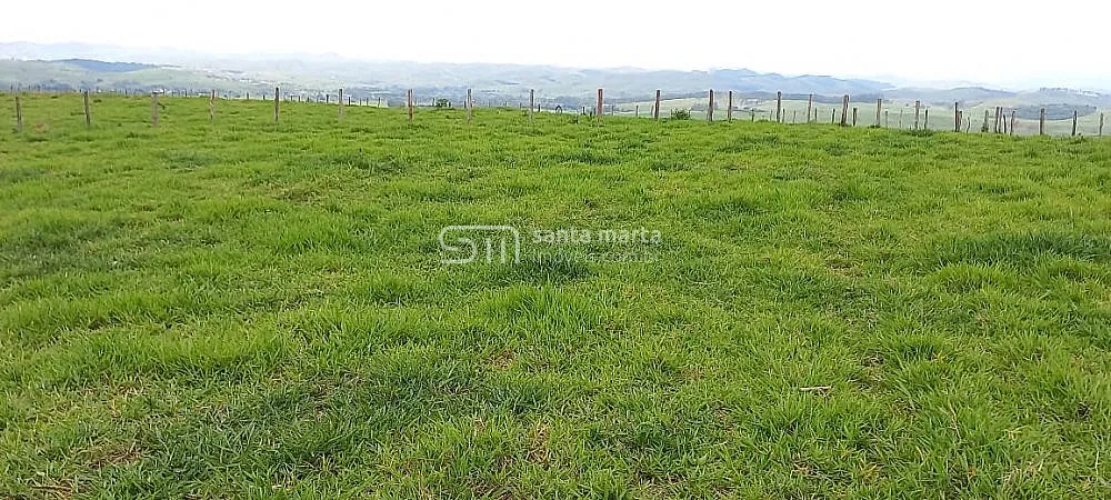 Fazenda, 624 hectares - Foto 10