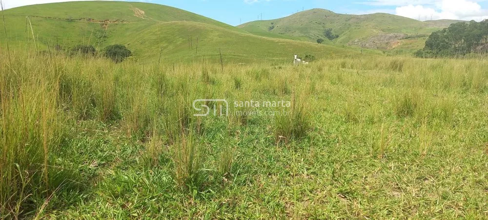 Fazenda-Sítio-Chácara, 911 hectares - Foto 6