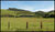 Fazenda, 254 hectares - Foto 1