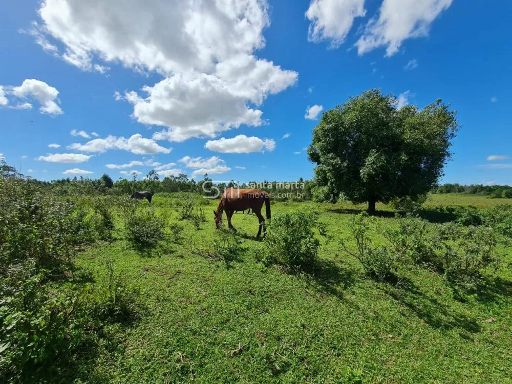 Fazenda-Sítio-Chácara, 252 hectares - Foto 1