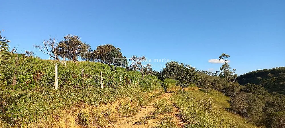 Fazenda, 72 hectares - Foto 2