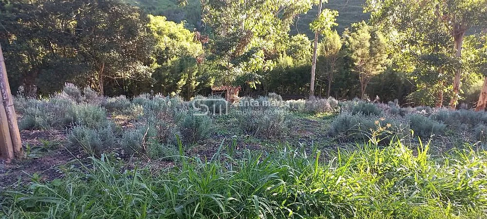 Fazenda, 72 hectares - Foto 3
