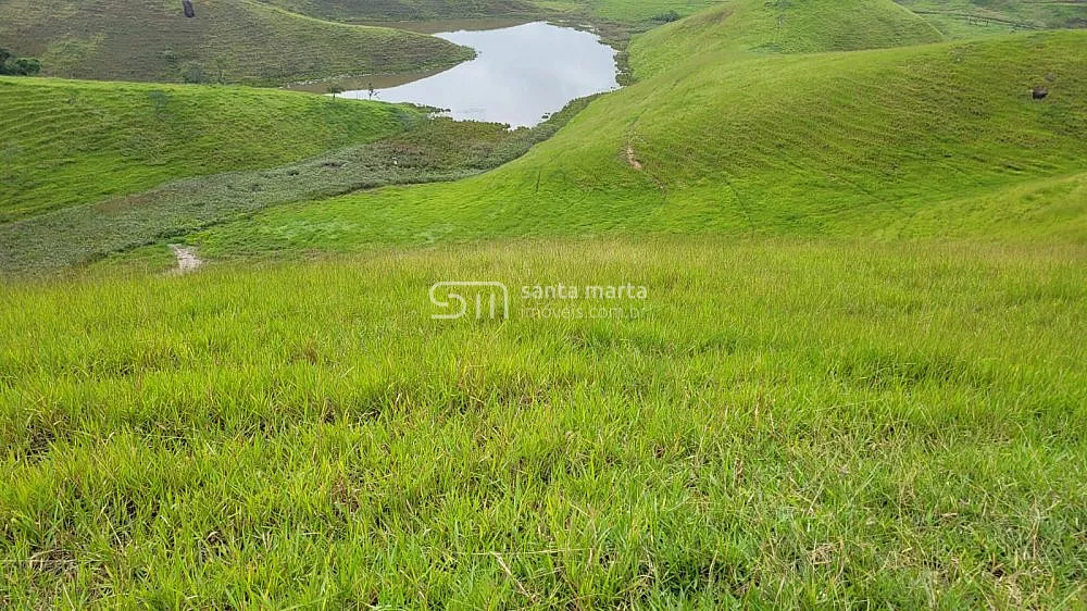 Fazenda, 911 hectares - Foto 1