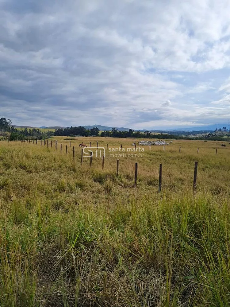 Fazenda, 911 hectares - Foto 62