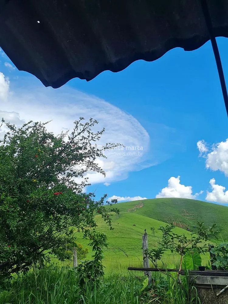 Fazenda, 911 hectares - Foto 64