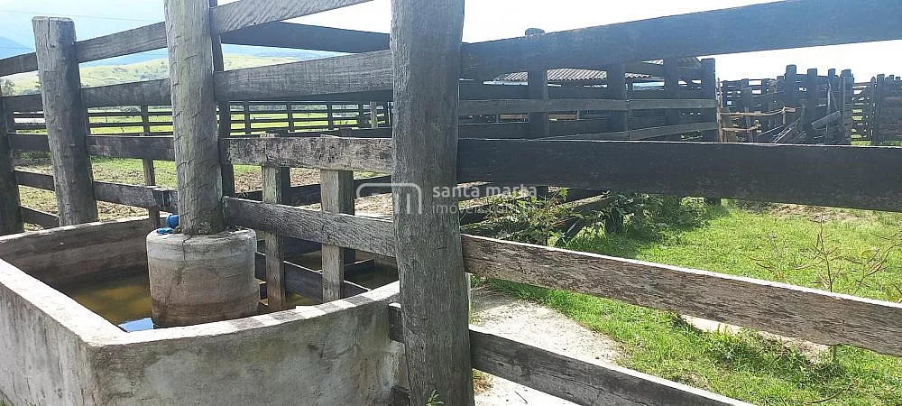 Fazenda, 911 hectares - Foto 26