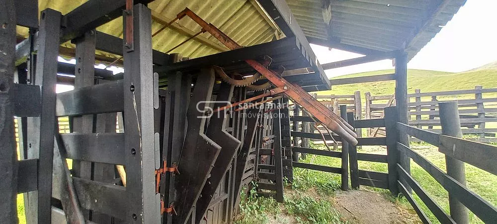 Fazenda, 911 hectares - Foto 39