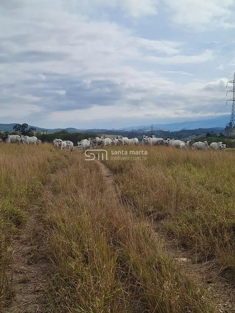 Fazenda, 911 hectares - Foto 65