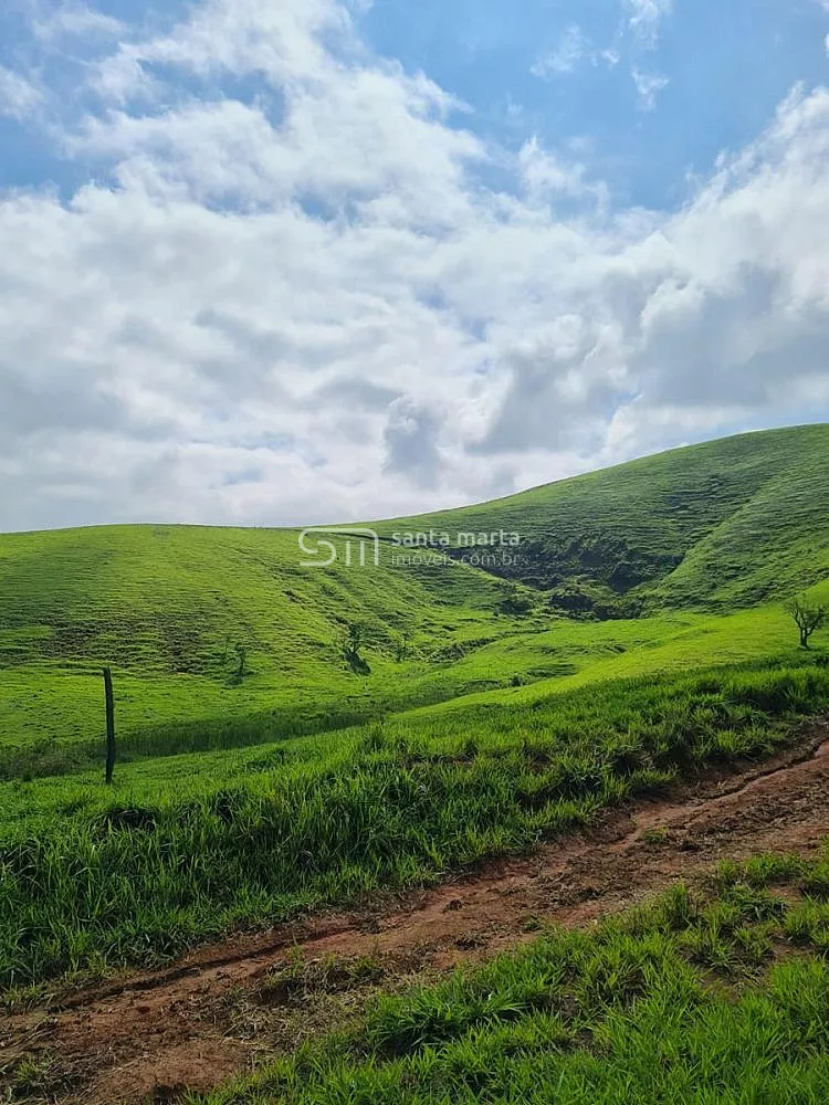 Fazenda, 911 hectares - Foto 17