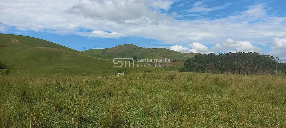 Fazenda, 911 hectares - Foto 2