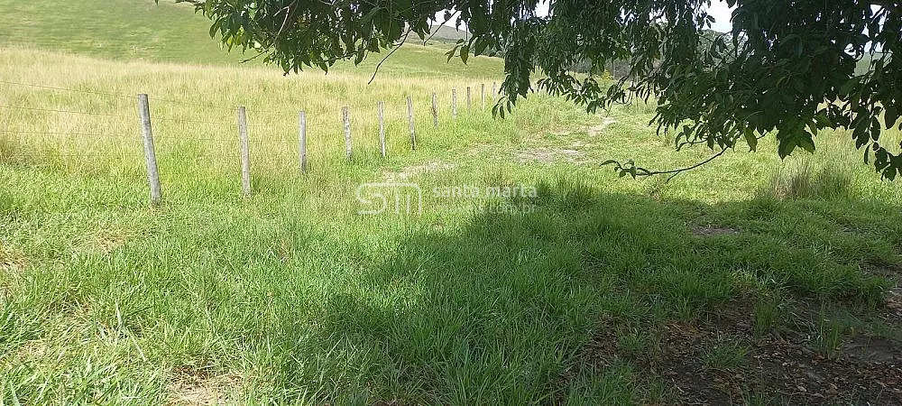 Fazenda, 911 hectares - Foto 30