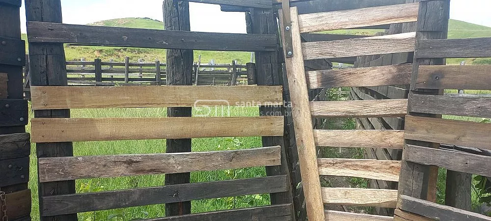 Fazenda, 911 hectares - Foto 32