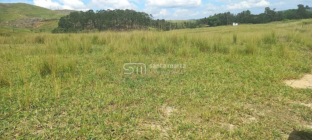 Fazenda, 911 hectares - Foto 15