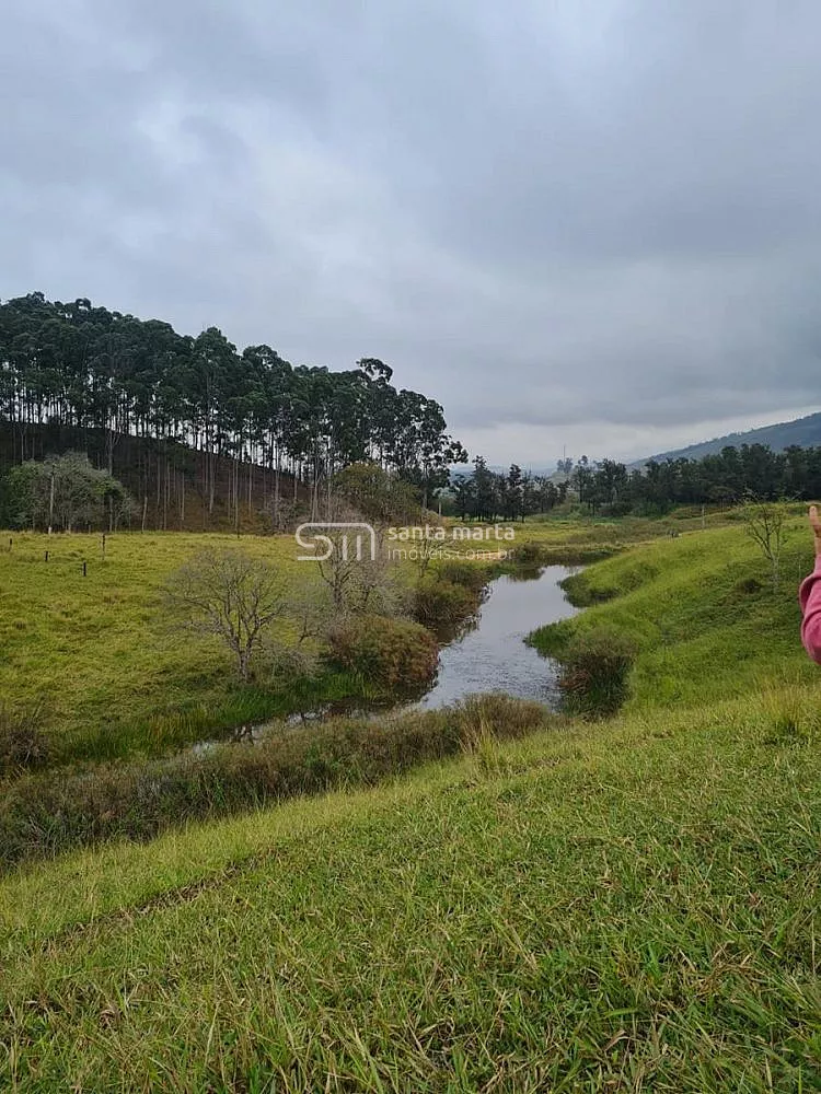 Fazenda, 911 hectares - Foto 54