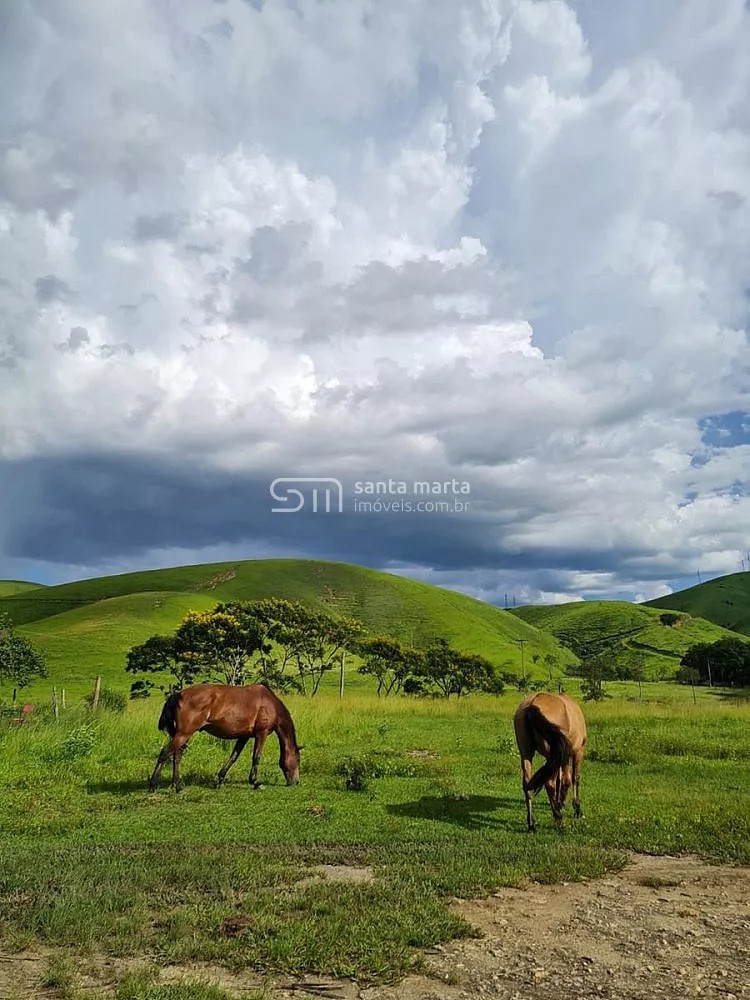Fazenda, 911 hectares - Foto 18