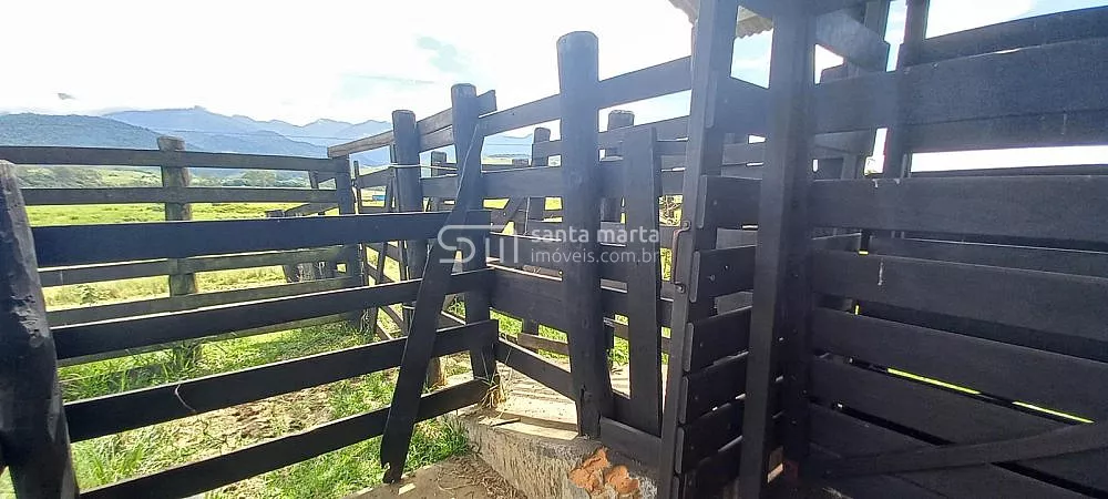 Fazenda, 911 hectares - Foto 41