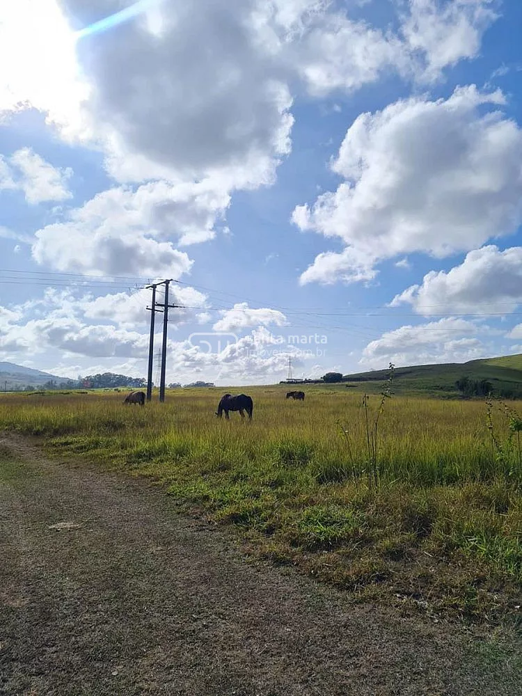 Fazenda, 911 hectares - Foto 49