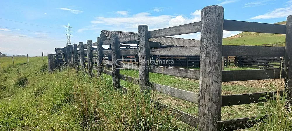 Fazenda, 911 hectares - Foto 24