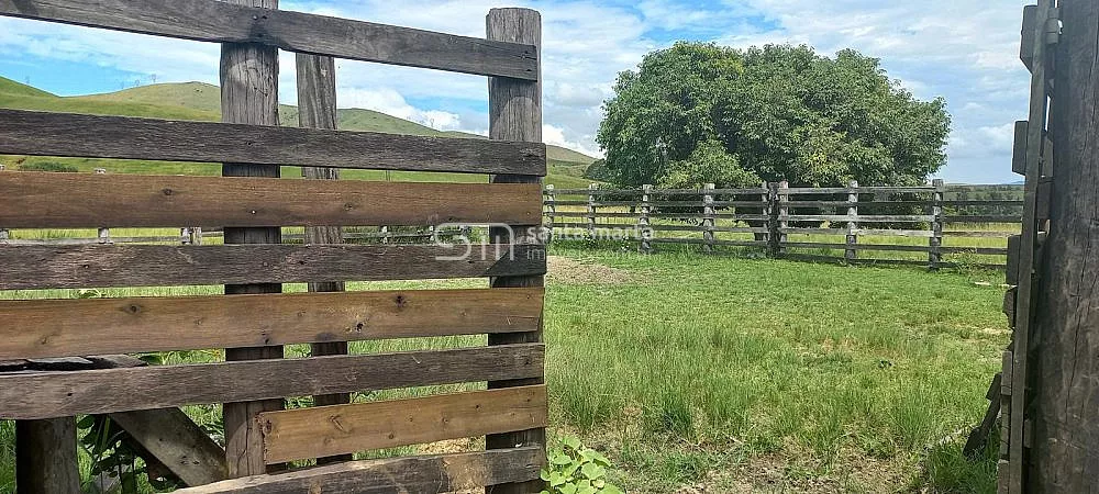 Fazenda, 911 hectares - Foto 27