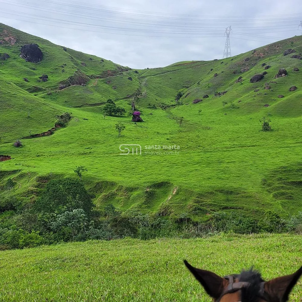 Fazenda, 911 hectares - Foto 21
