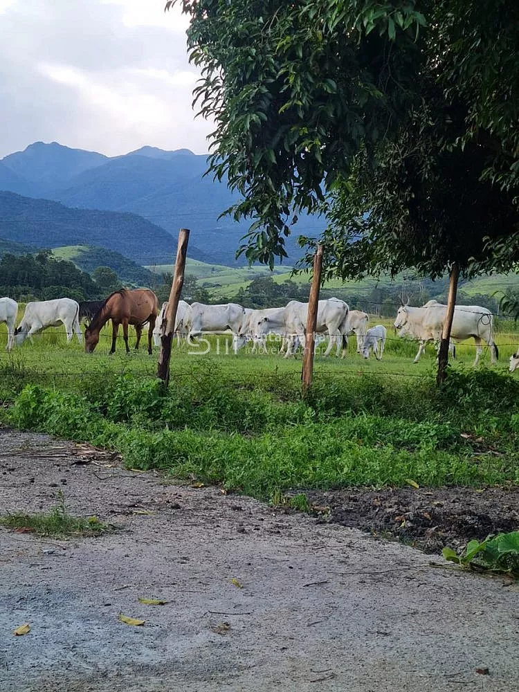 Fazenda, 911 hectares - Foto 35