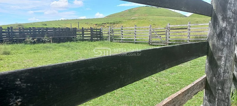 Fazenda, 911 hectares - Foto 23